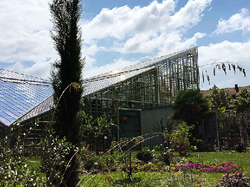 Freiburgliebe Ausflug In Den Botanischen Garten Der Universitat